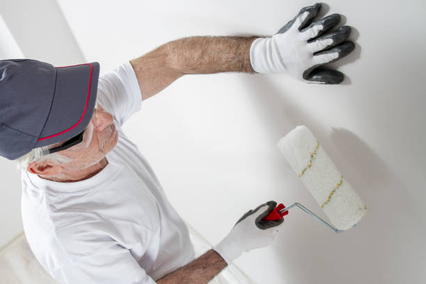 Best Black Mold Removal  in Clinton, WI