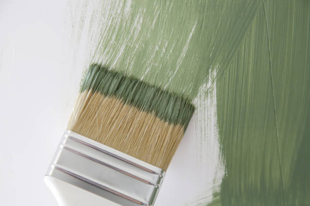 Best Water Damage & Mold Remediation  in Clinton, WI