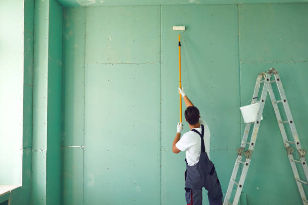 Best Attic Mold Removal  in Clinton, WI