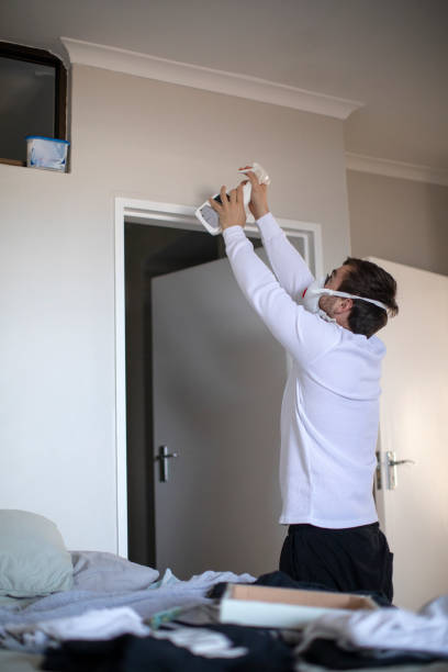 Best Mold Remediation for Vacation Homes  in Clinton, WI