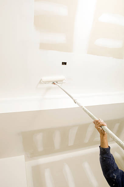  Clinton, WI Mold Removal Pros
