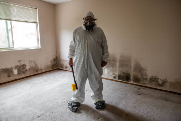 Mold Remediation for Vacation Homes in Clinton, WI
